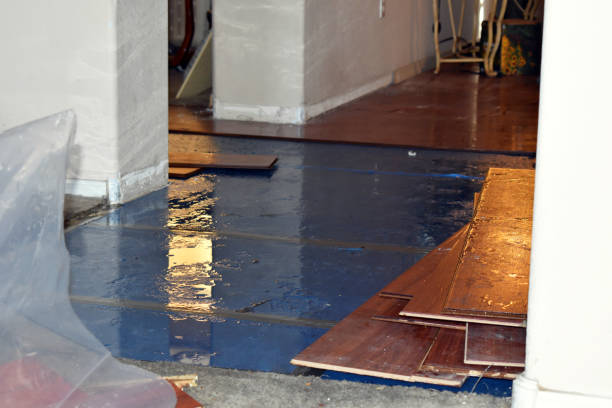 Professional Basement Water Removal technician working in Elkton, MI
